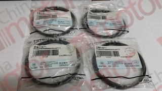 Кольца поршневые (к-т на 4 поршня) FOTON 1039/1049С BJ493ZLQ3(AL)3, 4JB1 (2 мм+2мм+4мм ) "FOTON",