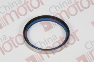 Сальник ступицы передней FOTON 1089 (100x116x14)