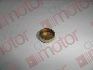 Заглушка головки цилиндров D=22x9mm FOTON-1049C Е049301000024