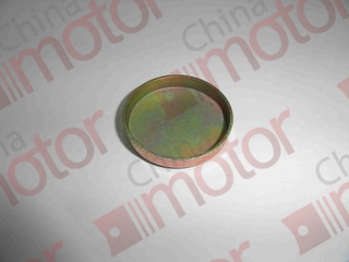 Заглушка блока цилиндров FOTON-1049C Е049301000025 45x8mm