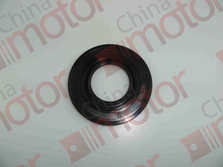 Сальник ступицы задней наружный FOTON 1049A (49x102x8-10)