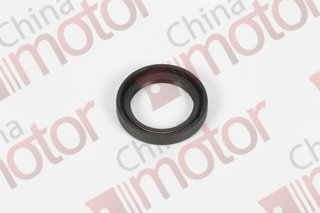 Сальник сошки ГУР FOTON 1069 (38x54x10) CAS5-25Q7