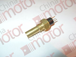 Датчик температуры (WD615) HOWO {M14, L-31/60, SW19, 2-клеммы открытые}