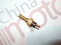 Датчик температуры (WD615) HOWO {M14, L-31/60, SW19, 2-клеммы открытые}