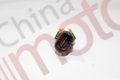 Датчик температуры ОЖ YC6MK340N-50, YC6L310-50 YUCHAI "Оригинал"