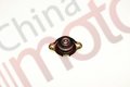 Крышка радиатора ISUZU NQR71/75 "CM"