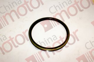 Сальник ступицы задней DFA1120 (153x175x13)  "Оригинал"