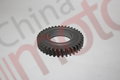 Шестерня распредвала BJ493ZLQ FOTON-1049C, JMC 1032,1043,1052 промежуточная (большая ) Е049305000022(B) (Z=37) "Оригинал"