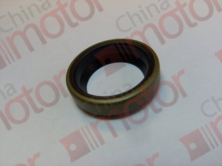 Сальник вала переключения передач КПП (крышка вала переключения передач) внутренний VOLGABUS 5270.0H (Ситиритм 10 DLe) QJ(ZF)