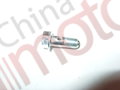 Болт BANJO M10x1.0x24 трубки масляной (полый) YC6J220-50