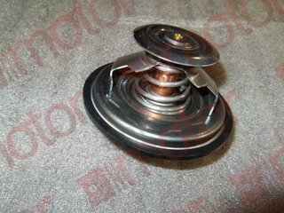 Термостат (WP10.336) ZK6122H9 2021--> (t=80C) "Оригинал" (D81)