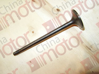 Клапан впускной WP7NG290E51 "Оригинал"