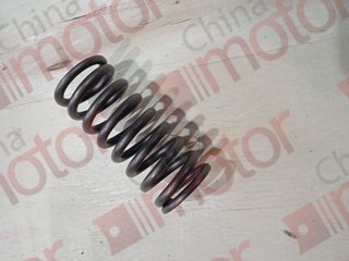 Пружина клапана WP7NG290E51 "Оригинал"