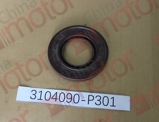 Сальник ступицы задней наружный QINGLING QL1110AN, ISUZU NQR90/NPR75/NQR71/NQR75 (49,2x100x8/9,8) 8943363172