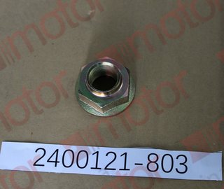 Гайка хвостовика редуктора заднего моста (M24) QINGLING QL1080AK, ISUZU NLR/NMR 55,85(LHD) 2008 - 2010 600p 8943295261