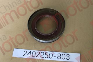 Сальник редуктора заднего моста QINGLING QL1080AK, ISUZU NLR85, NMR85, NKR55 (58x103x11/19) 8944080830 600p