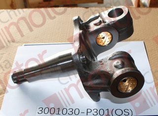 Кулак поворотный QINGLING QL1110AN, ISUZU NQR90 (левый) 8972615501