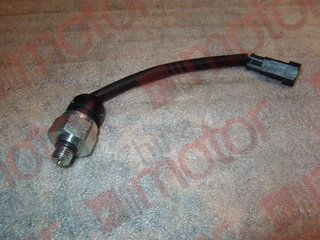 Выключатель сигнала стояночного тормоза XML6127JR,CN M12mm SW27 разъем овальный 2-х контактный (датчик стоп сигнала)