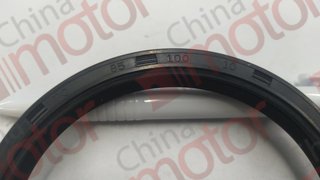 Сальник 85х100х10 ИКАРУС